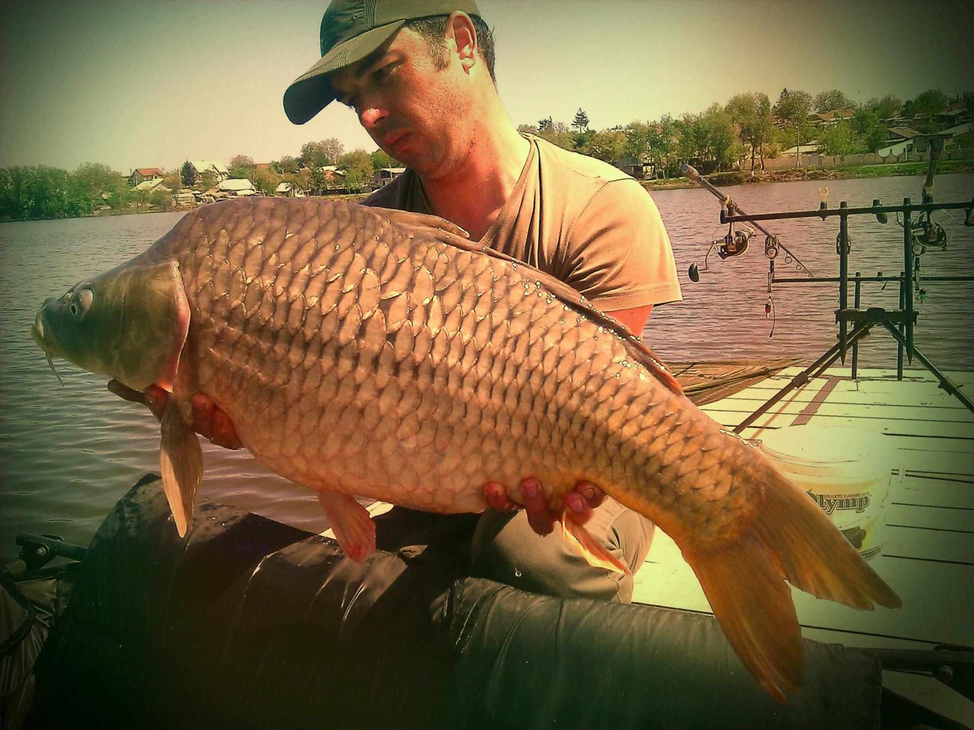 Moara Vlasiei 2 29 - 30 apr.